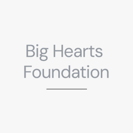 Big Hearts Foundation